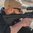 Crosse fixe MOE longueur de fusil pour AR-15, noire