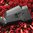 Crosse SGA ambidextre pour Mossberg 500/590 12GA noire