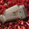 Crosse SGA ambidextre pour MOSSBERG 500/590 12GA FDE
