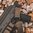 Sangle de fusil MS4 GEN2 double QD 1 ou 2 points coyote