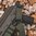 Bretelle de fusil MS4 GEN2 double QD convertible 1 à 2 points Vert Ranger