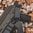 MS4 GEN2 sangle de fusil double QD 1-2 points gris stealth