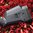 Crosse SGA ambidextre pour Mossberg 500/590 12GA gris Stealth