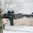 Garde-main MOE M-LOK longueur fusil pour AR-15 gris