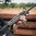 Garde-main MOE-SL M-LOK mi-long pour AR-15 ODG