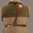 GREAT ALASKAN WILSON HUNTER 5 1/2" tan droitier
