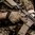 GANTS PATROL 2.0 COYOTE TAILLE S 1 PAIRE