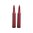 7MM REMINGTON MAGNUM cartouches factices, lot de 2