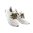 45 po SHOE SNAKES - MULTICAM