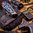 GUN TOOL AMP pour pistolet