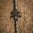 AR-15 WARHAMMER MICRO MOD2 poignée d'armement ambidextre noire