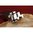 Percuteur et ressort de remplacement pour Ruger 10/22 LR