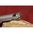 Kit extracteur et ressort pour RUGER 10/22 LR