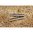Goupilles traversantes du boîtier pour RUGER 10/22 LR