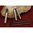 Goupilles de culasse filetées avec outil de chanfreinage pour Ruger 10/22LR