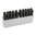 243 WINCHESTER cartouches factices 20/boîte
